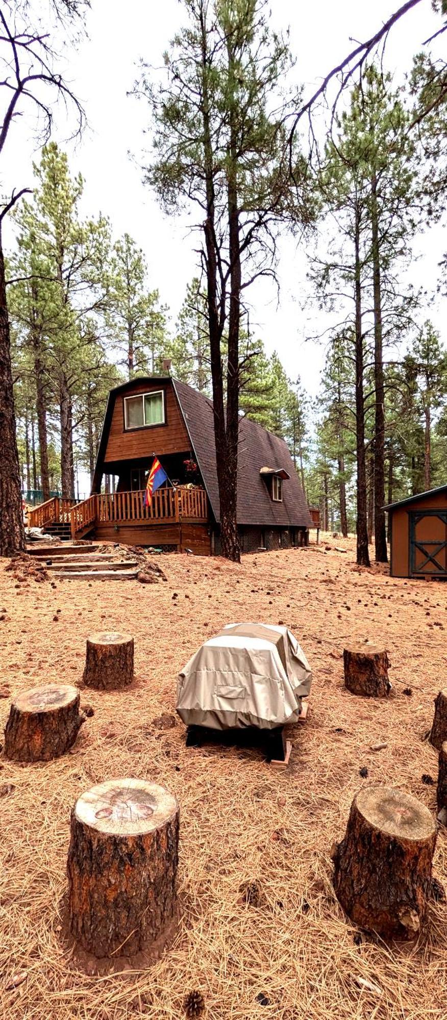 Close To Williams, Flagstaff, Grand Canyon And Sedona エクステリア 写真